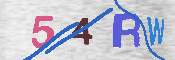 验证图片