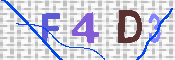 验证图片