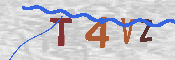验证图片