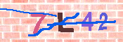 验证图片