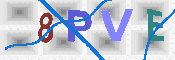 验证图片