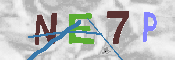 验证图片