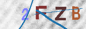 验证图片