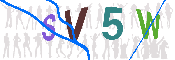 验证图片