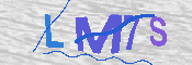 验证图片