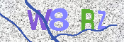 验证图片