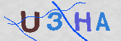 验证图片