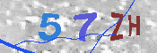 验证图片