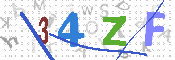 验证图片