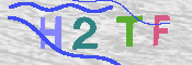 验证图片