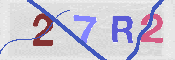 验证图片
