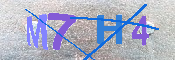 验证图片