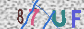 验证图片