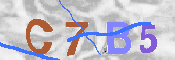 验证图片
