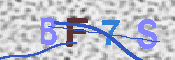 验证图片