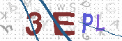 验证图片