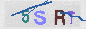 验证图片