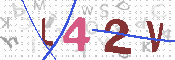 验证图片