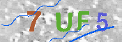 验证图片