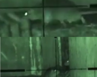 Extermination of rats with an Airsoft Sniper (airsoft vs rat) Extermination of rats with an Airsoft Sniper (airsoft vs rat)