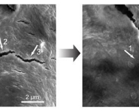 (中文) 科學家造出自癒電池,靈感來自機器人皮膚 (中文) 科學家造出自癒電池,靈感來自機器人皮膚