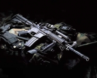 (中文) AR-15自動步槍 (中文) AR-15自動步槍