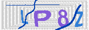 验证图片